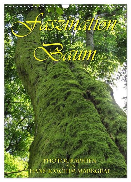 Faszination Baum (Wandkalender 2026 DIN A3 hoch), CALVENDO Monatskalender