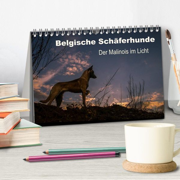 Produktbild: Belgische Sch&auml;ferhunde - Der Malinois im Licht (Tischkalender 2026 DIN A5 quer), CALVENDO Monatskalender