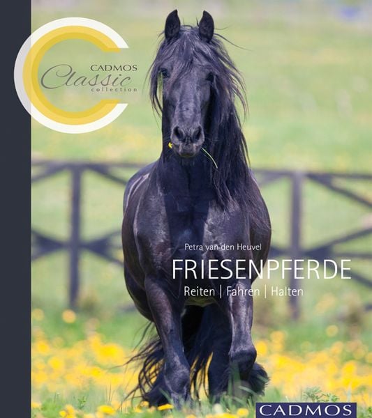 Produktbild: Friesenpferde