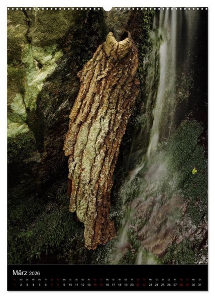 Produktbild: NATUREART - KUNST IN DER NATUR (Wandkalender 2026 DIN A2 hoch), CALVENDO Monatskalender