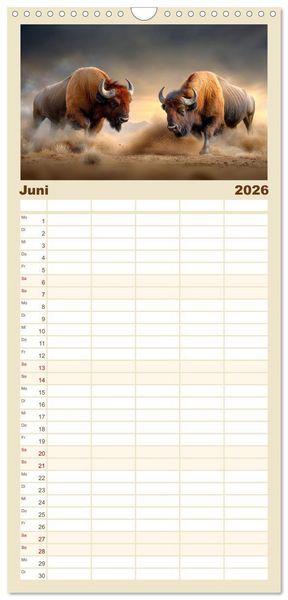 Produktbild: Familienplaner 2026 - B&uuml;ffel - Ikonen der Wildnis mit 5 Spalten (Wandkalender, 21 x 45 cm) CALVENDO