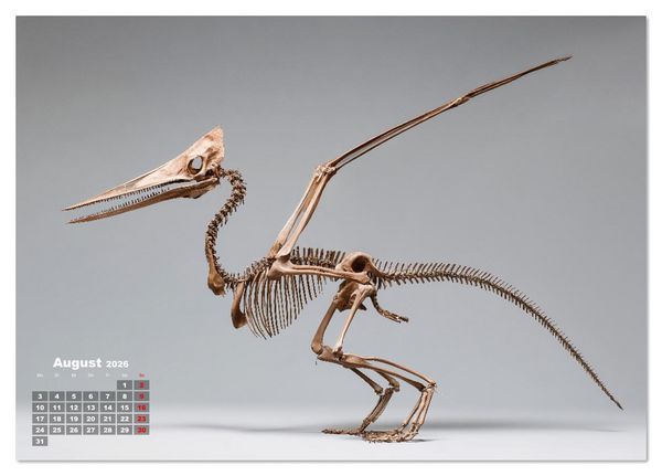 Produktbild: Knochen der Giganten - Dinosaurier im Portr&auml;t (Tischkalender 2026 DIN A5 quer), CALVENDO Monatskalender