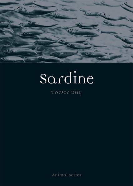 Produktbild: Sardine