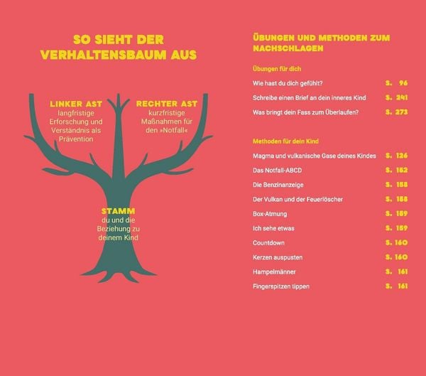 Produktbild: Der Vulkan in meinem Kind