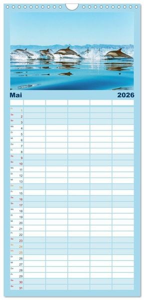 Produktbild: Familienplaner 2026 - Delfine: Elegante Wellenreiter mit 5 Spalten (Wandkalender, 21 x 45 cm) CALVENDO
