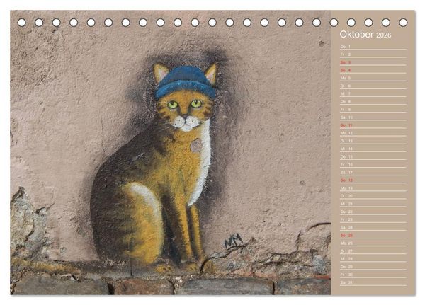 Produktbild: Flensburger Katzen (Tischkalender 2026 DIN A5 quer), CALVENDO Monatskalender