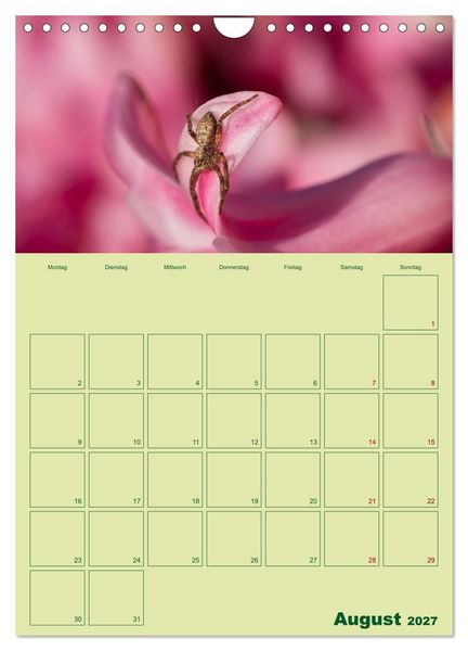 Produktbild: Die Welt der Insekten (Wandkalender 2027 DIN A4 hoch), CALVENDO Monatskalender