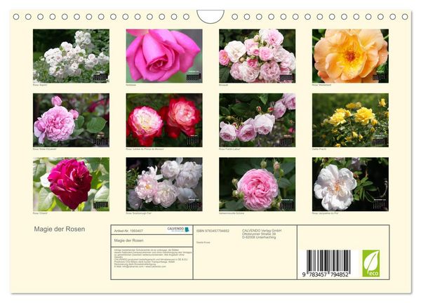 Produktbild: Magie der Rosen (Wandkalender 2026 DIN A4 quer), CALVENDO Monatskalender
