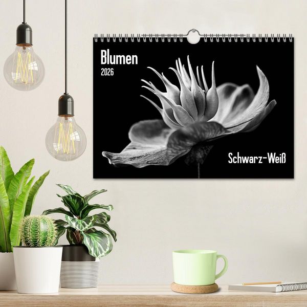 Produktbild: Blumen 2026, Schwarz-Wei&szlig; (Wandkalender 2026 DIN A4 quer), CALVENDO Monatskalender
