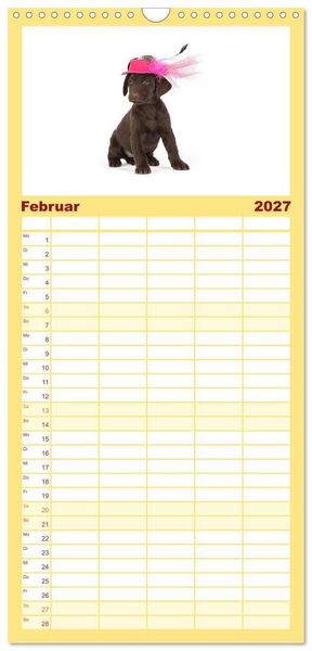 Produktbild: Familienplaner 2027 - Labrador - Welpen mit 5 Spalten (Wandkalender, 21 x 45 cm) CALVENDO