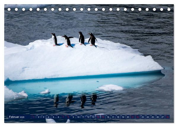 Produktbild: Antarktis Gletscher, Robben, Pinguine (Tischkalender 2026 DIN A5 quer), CALVENDO Monatskalender