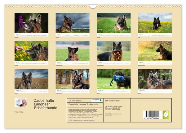 Produktbild: Zauberhafte Langhaar Sch&auml;ferhunde (Wandkalender 2026 DIN A3 quer), CALVENDO Monatskalender