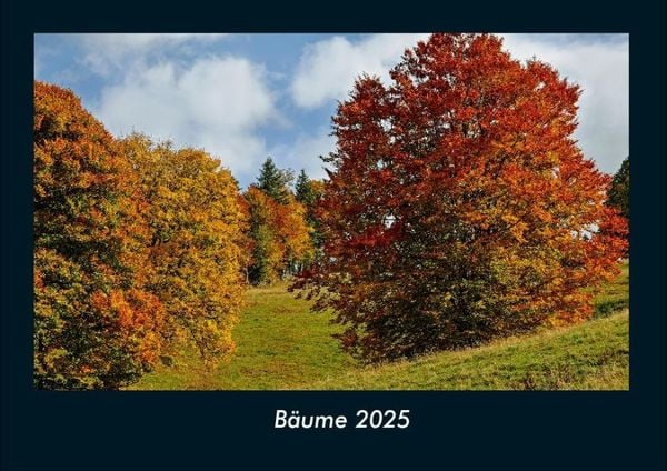 Produktbild: B&auml;ume 2025 Fotokalender DIN A4