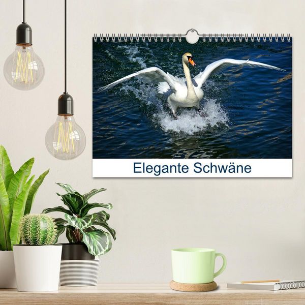 Produktbild: Elegante Schw&auml;ne (Wandkalender 2026 DIN A4 quer), CALVENDO Monatskalender