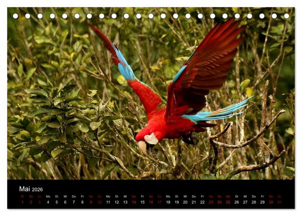 Produktbild: Ama la Vida Ecuador (Tischkalender 2026 DIN A5 quer), CALVENDO Monatskalender