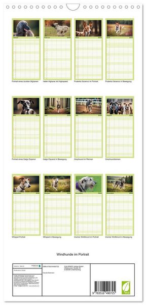 Produktbild: Familienplaner 2026 - Windhunde im Portrait mit 5 Spalten (Wandkalender, 21 x 45 cm) CALVENDO