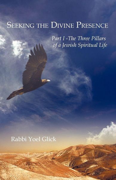 Produktbild: Seeking the Divine Presence