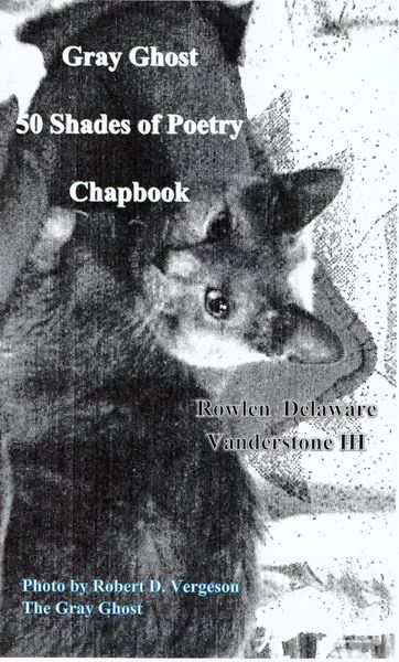 Produktbild: Gray Ghost 50 Shades of Poetry Chapbook