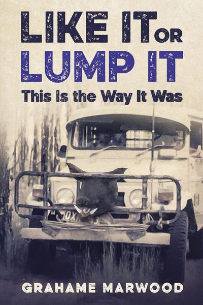 Produktbild: Like It or Lump It: This is the Way It Was