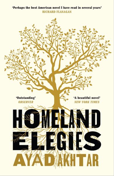 Homeland Elegies alternative edition cover