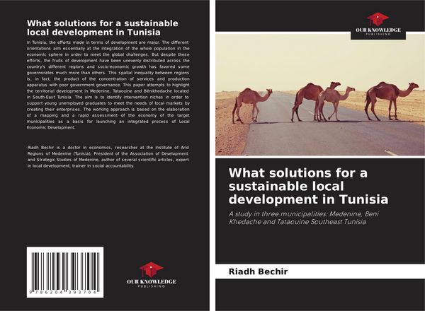 Produktbild: What solutions for a sustainable local development in Tunisia