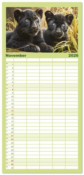 Produktbild: Familienplaner 2026 - Schwarze Panther. Geheimnisvolle Schatten der Wildnis mit 5 Spalten (Wandkalender, 21 x 45 cm) CALVENDO