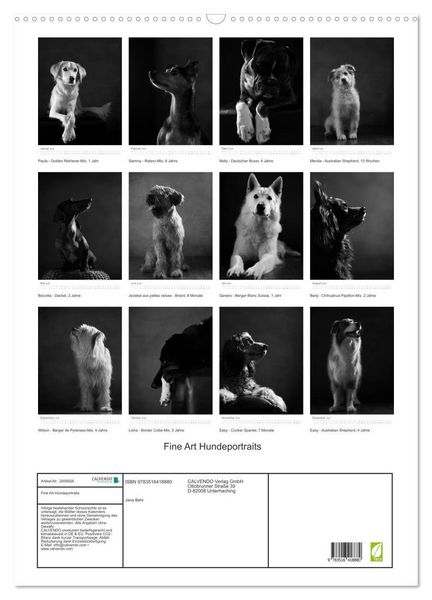 Produktbild: Fine Art Hundeportraits (Wandkalender 2026 DIN A2 hoch), CALVENDO Monatskalender