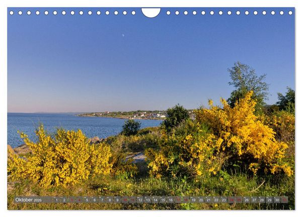 Produktbild: Bornholm Juwel der Ostsee (Wandkalender 2026 DIN A4 quer), CALVENDO Monatskalender