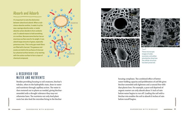 Produktbild: Gardening with Biochar