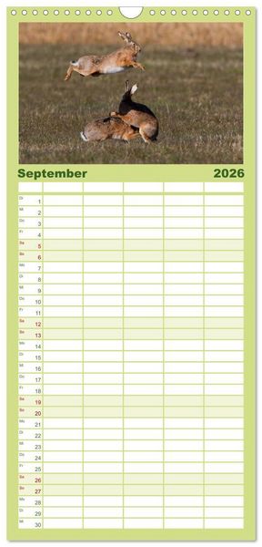 Produktbild: Familienplaner 2026 - Feldhasen in H&ouml;chstform mit 5 Spalten (Wandkalender, 21 x 45 cm) CALVENDO