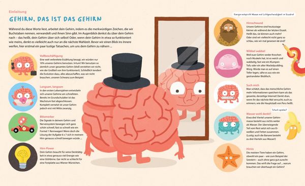 Produktbild: Dein geniales Gehirn
