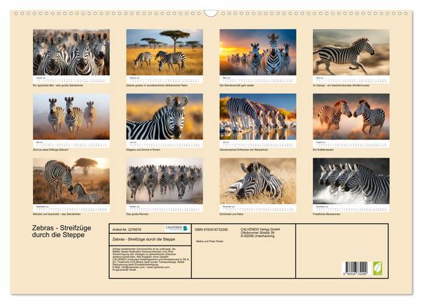 Produktbild: Zebras - Streifz&uuml;ge durch die Steppe (Wandkalender 2026 DIN A2 quer), CALVENDO Monatskalender