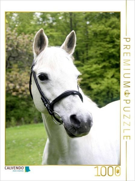 Produktbild: CALVENDO Puzzle Ein Motiv aus dem Kalender Pferde ... fliegen ohne Fl&uuml;gel | 1000 Teile Lege-Gr&ouml;&szlig;e 64x48cm Foto-Puzzle f&uuml;r gl&uuml;ckliche Stunden