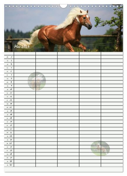 Produktbild: Haflinger Pferde - Stall- und Familienplaner 2026 (Wandkalender 2026 DIN A3 hoch), CALVENDO Monatskalender