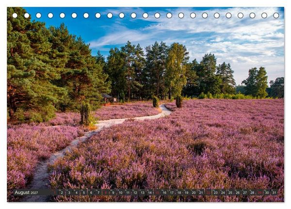 Produktbild: Leben am Naturpark um den D&uuml;mmer See (Tischkalender 2027 DIN A5 quer), CALVENDO Monatskalender