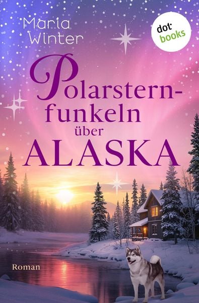 Produktbild: Polarsternfunkeln &uuml;ber Alaska