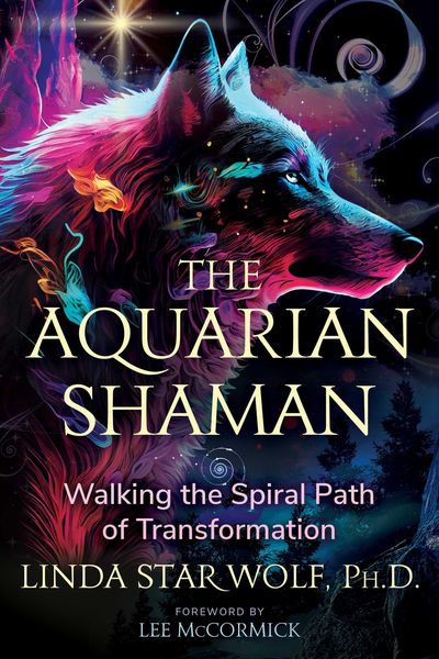 Produktbild: The Aquarian Shaman