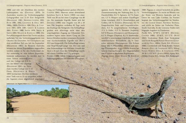Produktbild: Bartagamen - Die Gattung Pogona