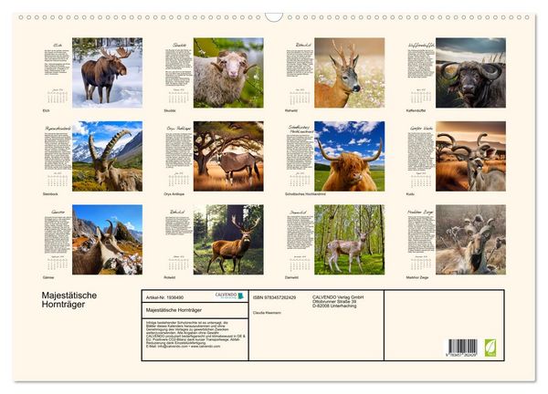 Produktbild: Majest&auml;tische Horntr&auml;ger (Wandkalender 2026 DIN A2 quer), CALVENDO Monatskalender