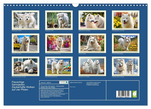 Produktbild: Flauschige Samojeden. Zauberhafte Wolken auf vier Pfoten (Wandkalender 2026 DIN A3 quer), CALVENDO Monatskalender