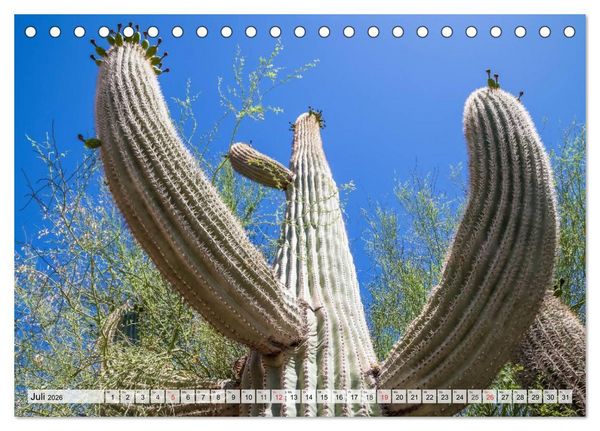 Produktbild: ARIZONA UND UTAH Ein einzigartiges Erlebnis (Tischkalender 2026 DIN A5 quer), CALVENDO Monatskalender