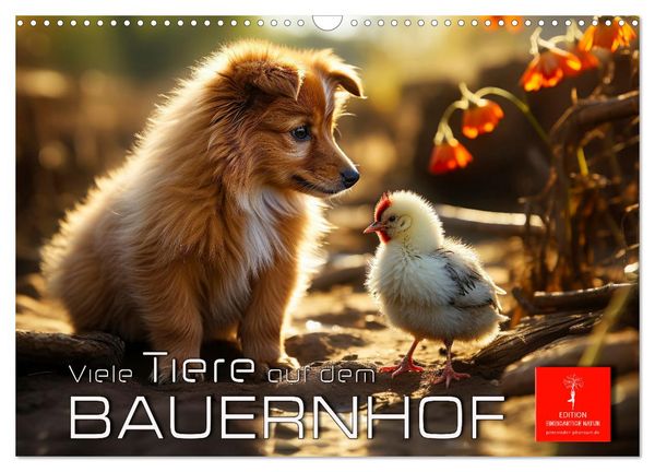 Viele Tiere auf dem Bauernhof (Wandkalender 2026 DIN A3 quer), CALVENDO Monatskalender