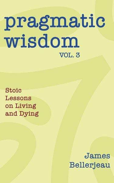 Produktbild: Pragmatic Wisdom Vol. 3