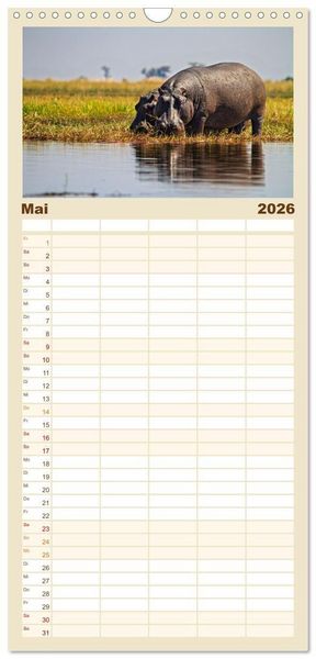 Produktbild: Familienplaner 2026 - Hippos - Gef&auml;hrliche Giganten mit 5 Spalten (Wandkalender, 21 x 45 cm) CALVENDO