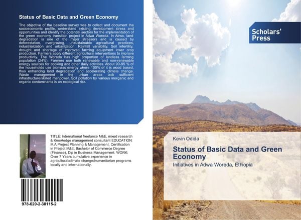Produktbild: Status of Basic Data and Green Economy