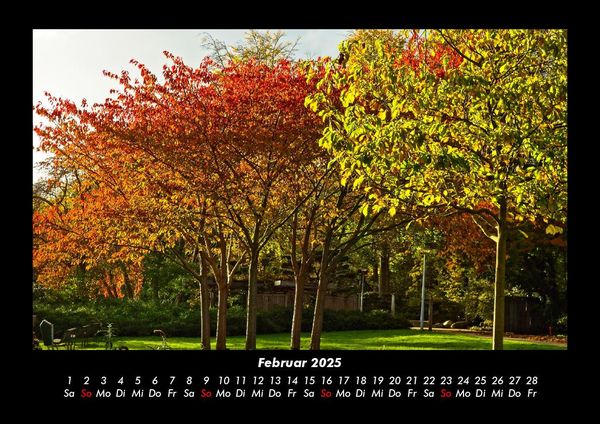 Produktbild: B&auml;ume 2025 Fotokalender DIN A3