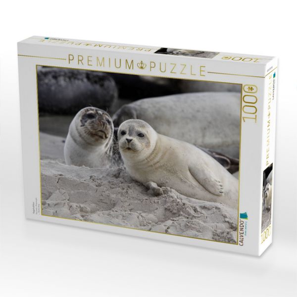 Produktbild: CALVENDO Puzzle Kegelrobben | 1000 Teile Lege-Gr&ouml;&szlig;e 64x48cm Foto-Puzzle f&uuml;r gl&uuml;ckliche Stunden