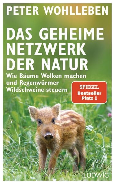 Produktbild: Das geheime Netzwerk der Natur