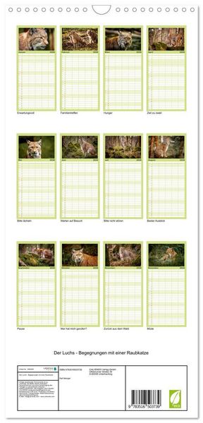 Produktbild: Familienplaner 2026 - Der Luchs - Begegnungen mit einer Raubkatze mit 5 Spalten (Wandkalender, 21 x 45 cm) CALVENDO