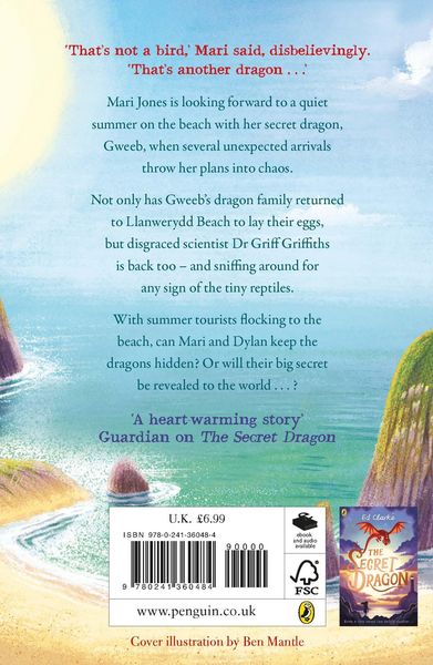 Produktbild: Summer of the Dragons